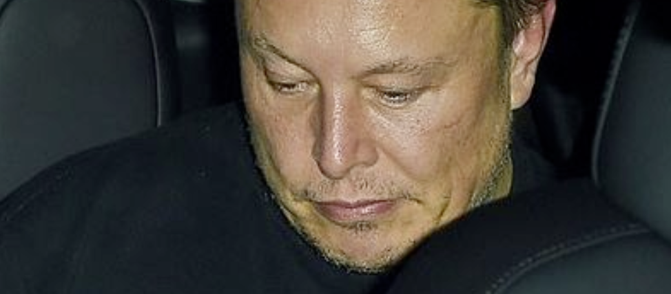 Elon Musk Responds to Claims Twitter is Filled with American State Disinformation, Agrees with Assertion